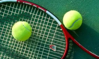 网球拍有多重 网球拍都有多重的