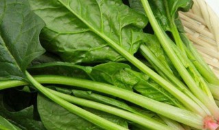 菠菜烩菜苔怎么做 菠菜烩菜苔怎么做好吃