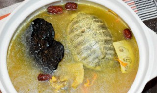 清炖乌龟 清炖乌龟汤的做法大全图解