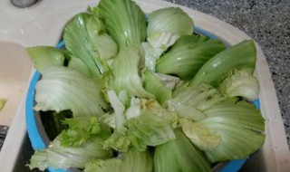 制作青菜泡菜方法 青菜做泡菜的腌制方法和配料