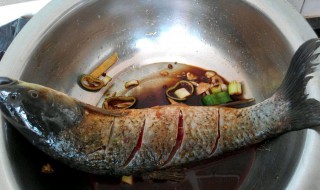 腌制赶鱼的做法 腌制赶鱼的做法视频