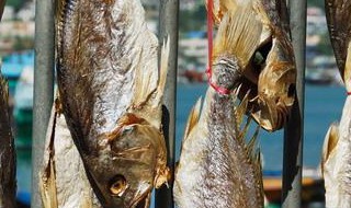 咸鱼的正确吃法和禁忌 咸鱼的正确吃法和禁忌有哪些
