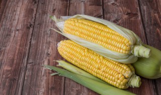 玉米可以生吃吗 普通玉米可以生吃吗