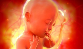 梦见胎梦是什么意思 胎梦是什么意思