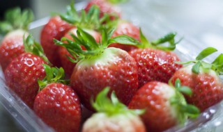 新鲜草莓怎么保鲜 新鲜草莓保鲜方法