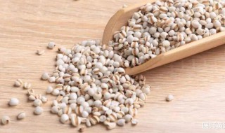 红豆薏米怎么吃去湿气效果好 薏米怎么吃去湿气