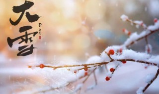 大雪节气特点是什么 大雪节气相关知识