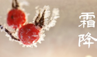 霜降节气的特点（霜降节气的特点是什么）