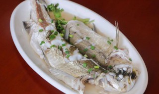 白条鱼的吃法 白条鱼的吃法和做法