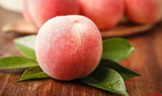 水蜜桃的功效与作用以及水蜜桃的食用注意事项 水蜜桃的功效与作用和食用注意事项介绍