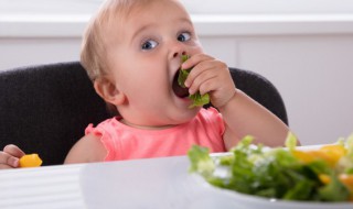 一岁半宝宝食谱大全 一岁幼儿的辅食食谱