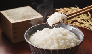 哪些人不能吃米饭 哪些人不能吃米饭和菜