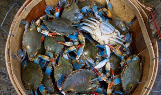 家常炒螃蟹简单又好吃 螃蟹怎么做简单又好吃