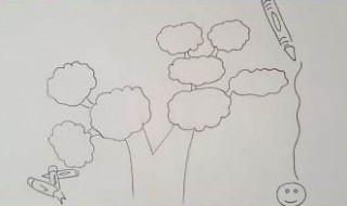知识树怎么画 六年级 知识树怎么画