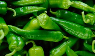 青椒算是刺激性食物吗 青椒属于刺激性食物吗
