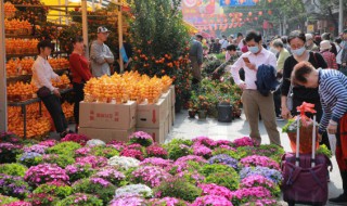 秋冬季节适合养什么花（秋冬季节适合养什么花卉）