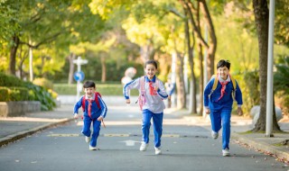 幼儿学成语接龙有何好处 幼儿学成语接龙有何好处呢