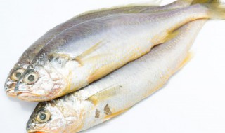 传统臭鳜鱼的腌制方法 正宗臭鳜鱼的腌制方法