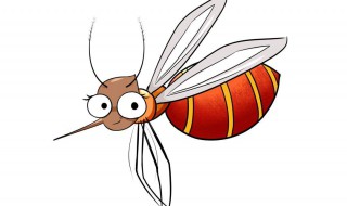 消除蚊子有哪些好方法 消除蚊子有哪些好方法视频