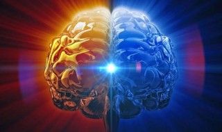 强脑理论是什么? brainco强脑科技百度百科
