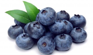 蓝莓的种子是什么样蓝蓝莓的 蓝莓的种子是什么