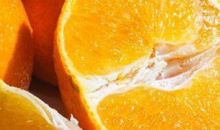 柑橘种子育苗方法图解 柑橘种子育苗方法