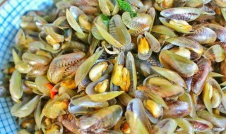 海蛎子的作用及禁忌 海蛎子的作用