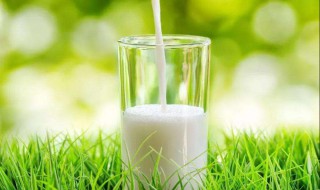 牛奶中营养价值 牛奶营养价值真的高吗