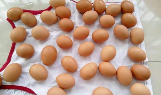鸡蛋如何清洗和保存方法 鸡蛋如何清洗和保存?