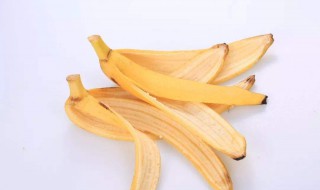 香蕉皮去斑怎么做 香蕉皮去斑怎么用?
