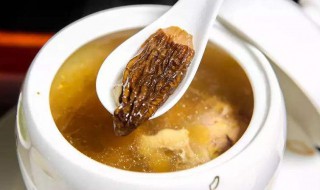 羊肚菌炖汤最佳做法 羊肚菌炖汤最佳做法,哪些人不宜吃
