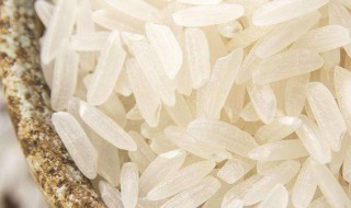 籼米的性味归经及功效 籼米有什么功效