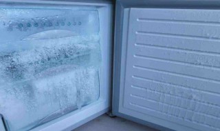 哪些食物不应该放在冰箱里面 哪些食物不应该放在冰箱里面吃