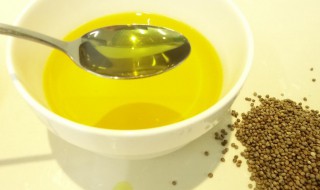 苏子加绿豆的功效 苏子油绿豆粉的功效与作用