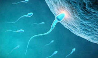 何谓受精?受精有何意义? 什么是受精的作用