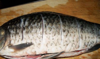 鲫鱼的功效与作用禁忌和食用方法 鲫鱼的功效与作用禁忌和食用方法视频