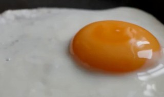 生鸡蛋冲水有什么作用 生鸡蛋冲水有什么作用和功效