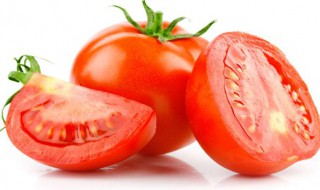 番茄需要怎么种 番茄需要怎么种才能成熟