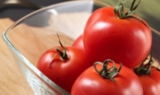 西红柿什么时候种好怎么种 西红柿什么时候种比较好