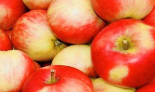 什么季节出的苹果最好吃 哪个季节的苹果最好吃