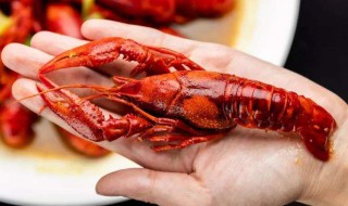 吃龙虾吃头吗 吃龙虾为什么不能吃头