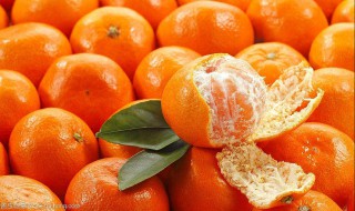 哪个季节能吃橘子 哪个季节能吃橘子呢