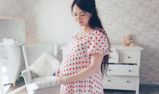 孕妈妈的综艺节目有哪些 孕妈妈的综艺节目叫什么