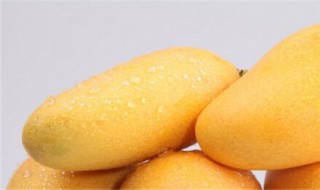 吃剩的芒果核种植方法视频 吃剩的芒果核种植