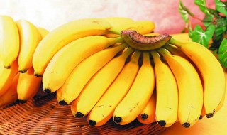 为什么煮香蕉是酸的味道 为什么煮香蕉是酸的