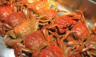 螃蟹搭配什么菜吃最好 螃蟹搭配什么菜吃最好吃