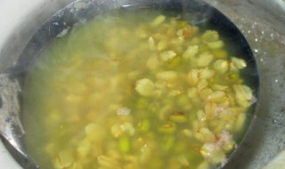 绿豆鸽肉丝煮燕麦怎么做 绿豆鸽子瘦肉汤