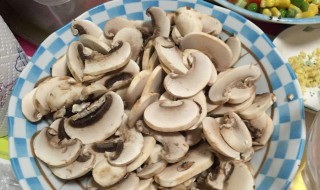 白菇的做法大全集 白菇的做法和配方