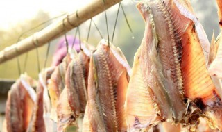 广东腊鱼的制作方法 广东腊鱼最简单的腌制方法