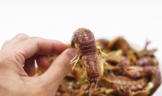 皮皮虾怎么做才好吃 皮皮虾怎么做才好吃吃